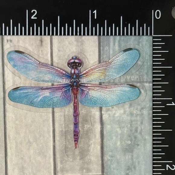 🌀10/$10🌀 Translucent Moth Dragonfly Beetle Reusable Waterproof Sticker Decal - Picture 1 of 1